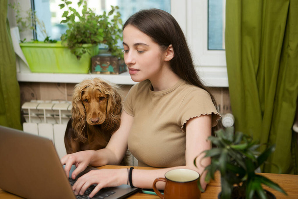 Egy fiatal lány gépel az otthoni irodában, a szeretett kutyája ott áll mellette. A diák a vizsgára készül. - Fotó, kép