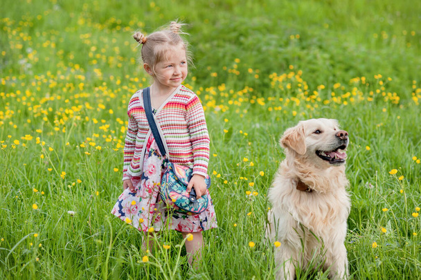 dívka v šatech procházky s přítelem-zlatý retrívr v létě, pet day - Fotografie, Obrázek