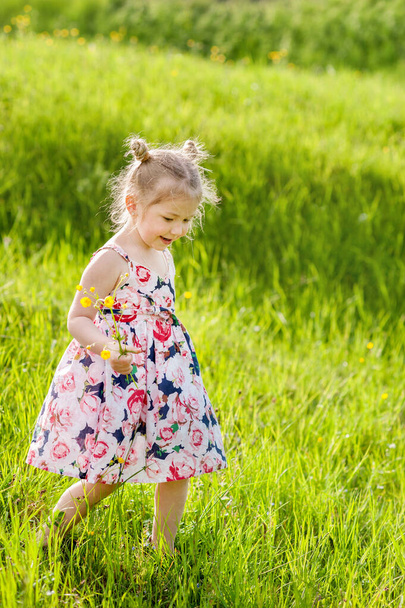 A little girl in summer dress with pigtails in a green grass field - Fotografie, Obrázek