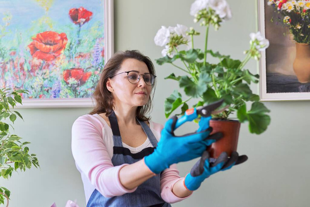 Woman caring for flower in pot at home, removes secateurs leaves - Foto, immagini