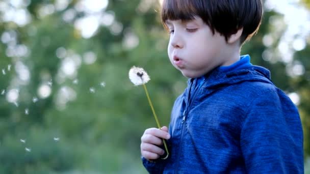 Όμορφο ονειρεμένο αγόρι που φυσάει πικραλίδες στο πάρκο μια ηλιόλουστη καλοκαιρινή μέρα σε αργή κίνηση. 1920x1080 - Πλάνα, βίντεο