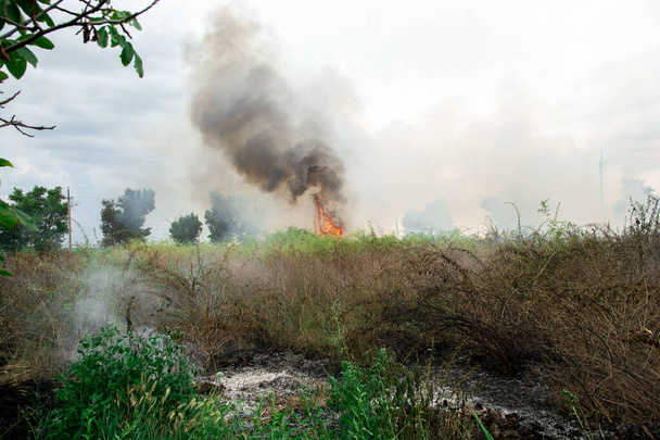 緑の芝生で夏の火災。低木の上に大きな炎。空に黒いスモッグ。生態学的カタストロフィー - 写真・画像