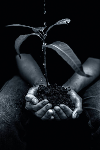 Shot of farmer with a plant in his hand sitting and taking care of mother nature isolated over black background. Plant saving hands over black background. - Fotó, kép