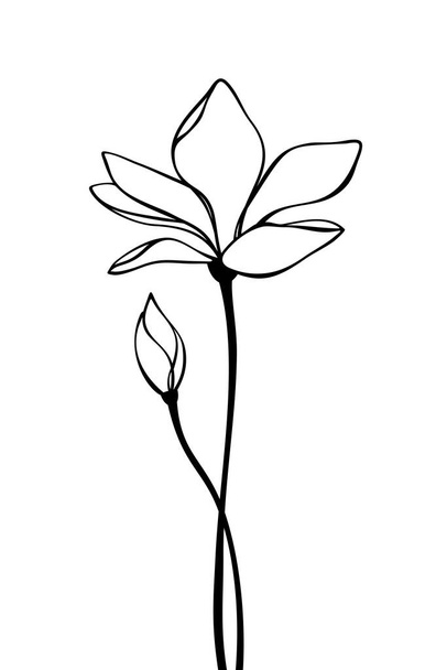 Magnolia flower contour drawing. Vector black and white line art illustration. - Vettoriali, immagini
