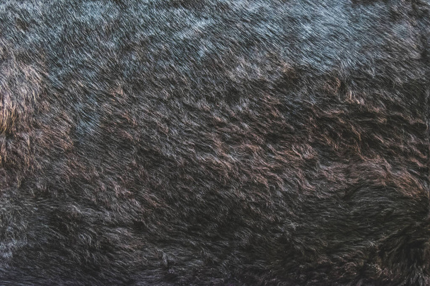 темно-коричневый или черный реальная кожа коровы и текстура волос для фона, готовы к монтажу продукта отображения
. - Фото, изображение