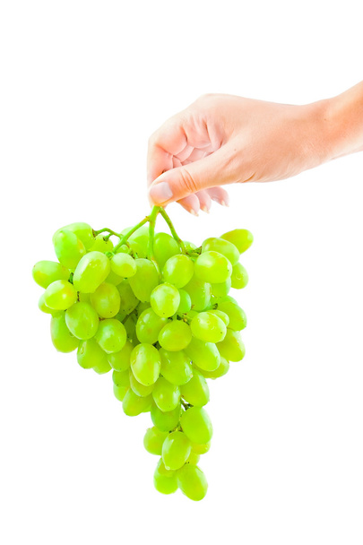 Grape in the hand - Foto, Imagen
