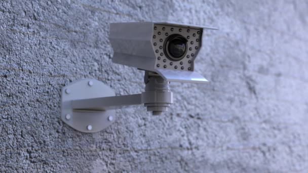 Sfondo animazione 3D, telecamera di sorveglianza sul loop della parete
 - Filmati, video