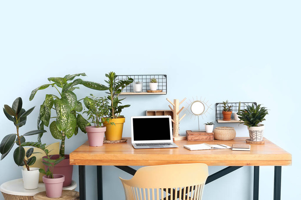 Komfortabler Arbeitsplatz mit modernem Laptop und Zimmerpflanzen - Foto, Bild