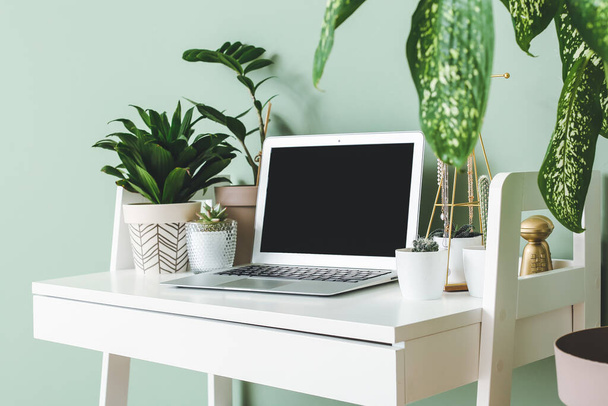 Comfortable workplace with modern laptop and houseplants near color wall - Фото, зображення