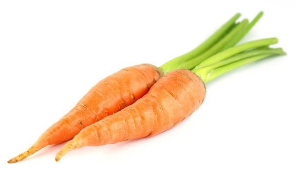 Zanahorias frescas sobre fondo blanco
 - Foto, imagen