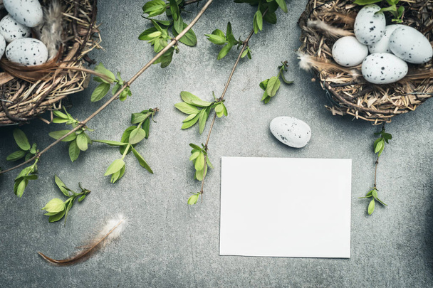Easter eggs nest with bird feathers and blank white paper card, top view - Valokuva, kuva