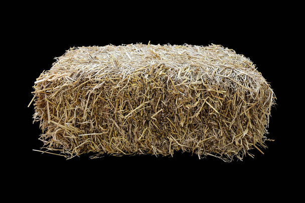 Kesme yolları olan izole edilmiş pirinç kamışı. - Fotoğraf, Görsel