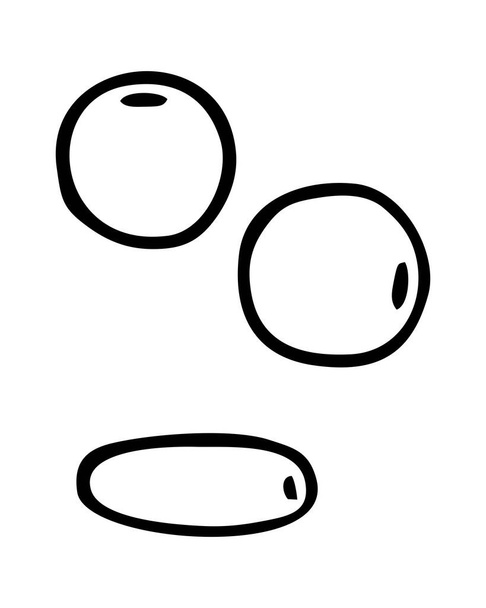 DRAWN BEADS ON A WHITE BACKGROUND IN A VECTOR - Vector, afbeelding