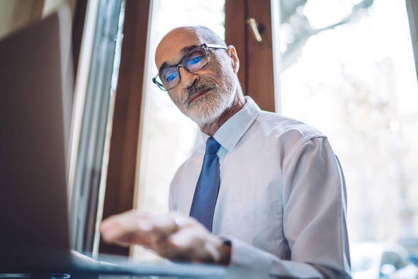 Senior bald gray bearded executive in white shirt and blue tie with glasses working on pc near window on blurred background - Foto, Bild