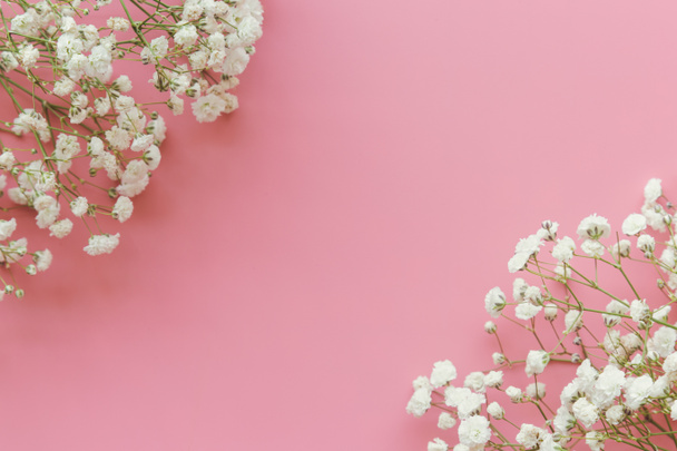 Gypsophila white baby's breath flower on pastel pink background with copy space. Sweet and beautiful wallpaper for Valentine or wedding backdrop design. Gypsophila flower is mean forever love. - Photo, Image