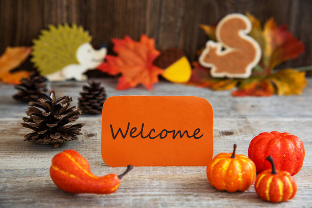Etiqueta com decoração de outono, Texto Inglês Bem-vindo
 - Foto, Imagem