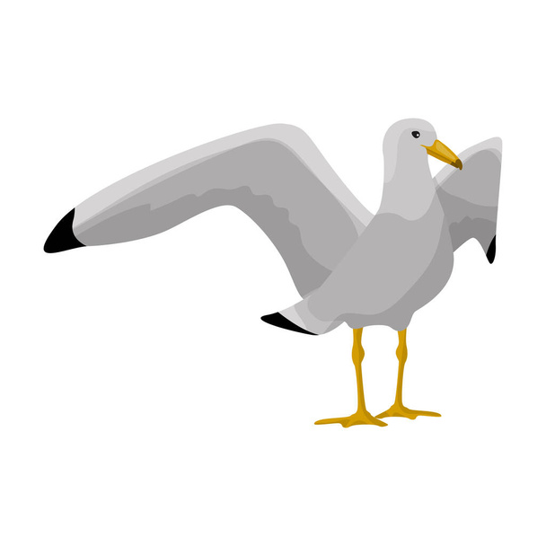 Bird gull vector icon.Cartoon vector icon isolated on white background bird gull. - Vector, Image