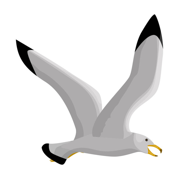 Bird gull vector icon.Cartoon vector icon isolated on white background bird gull. - ベクター画像