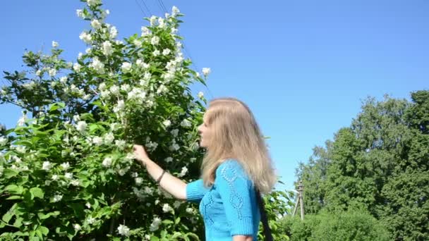 Senhora escolher flores jasmim
 - Filmagem, Vídeo