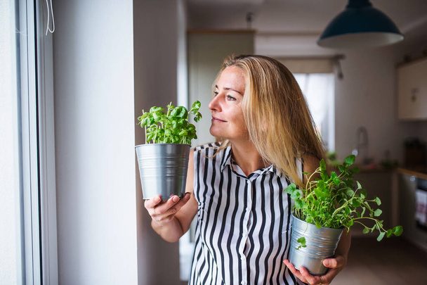 Front view portrait of woman indoors at home, holding herbs. - Fotoğraf, Görsel