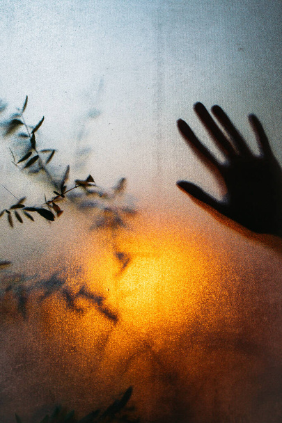Wet frosted glass texture. The shadow of the plant and human hand behind the glass. Wet handprints on the window and the silhouette of the plant behind it. Warm light outside. - Photo, Image