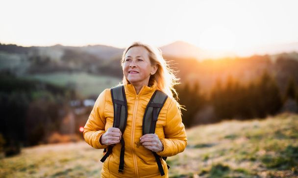 Attractive senior woman walking outdoors in nature at sunset, hiking. - Photo, Image