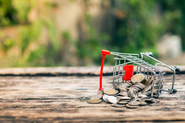 Close up coins on mini shopping cart with natural light background (Business and finance concept) - Photo, Image