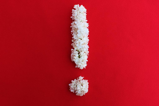 Ексклюзивний знак з білих бузкових квітів на червоному тлі. Знак уваги з квітів. Плоский ліжко, вид зверху на мінімальну творчу квіткову композицію. Символ! з натуральних матеріалів
 - Фото, зображення