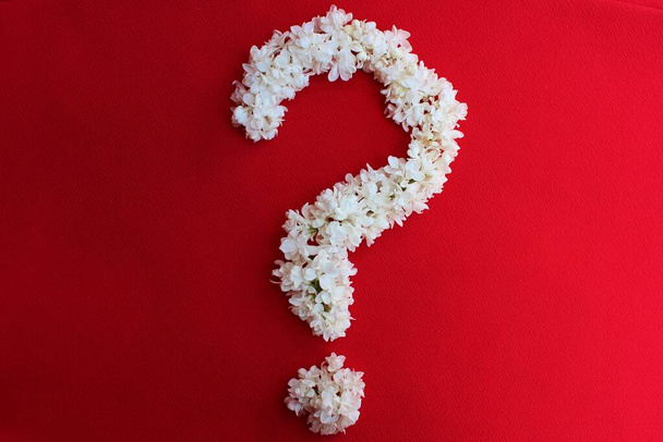 Vraagteken gemaakt van witte lila bloemen op een rode achtergrond. Vragen symbool gemaakt van bloemen. Vlakke lay, bovenaanzicht minimale creatieve bloemige compositie. Tekenen? van natuurlijke materialen - Foto, afbeelding