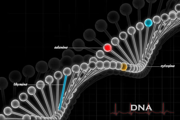 DNA - Φωτογραφία, εικόνα