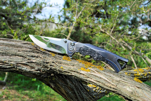 couteau pliant lame en acier inoxydable poignée bleue équipement de chasse jardin herbe verte brun bois nature fond
 - Photo, image