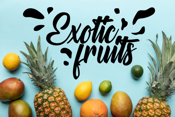 vista dall'alto di frutti tropicali maturi interi su sfondo blu con illustrazione di frutti esotici
 - Foto, immagini