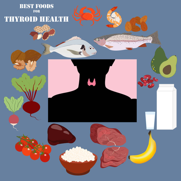 Beste voedingsmiddelen voor schildklier gezondheid illustratie op de blauwe achtergrond. Vectorillustratie - Vector, afbeelding