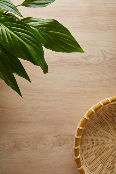 vista superior de hojas verdes y canasta de mimbre sobre mesa de madera
 - Foto, Imagen