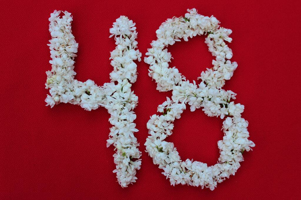 Die Zahl 48 steht in weißen lila Blüten auf rotem Grund geschrieben. Die Zahl achtundvierzig ist in frischen Blumen geschrieben, isoliert auf rot. Arabische Ziffer mit Blumen gesäumt. - Foto, Bild