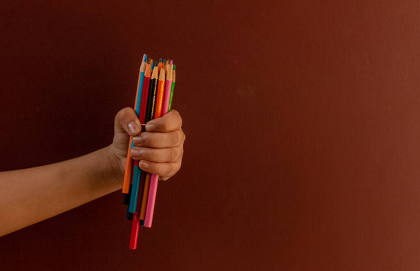 Multi lápis coloridos isolados
  - Foto, Imagem