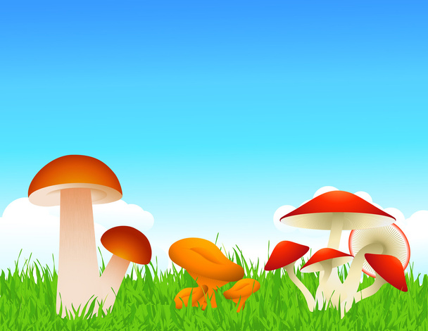 Mushrooms - Διάνυσμα, εικόνα
