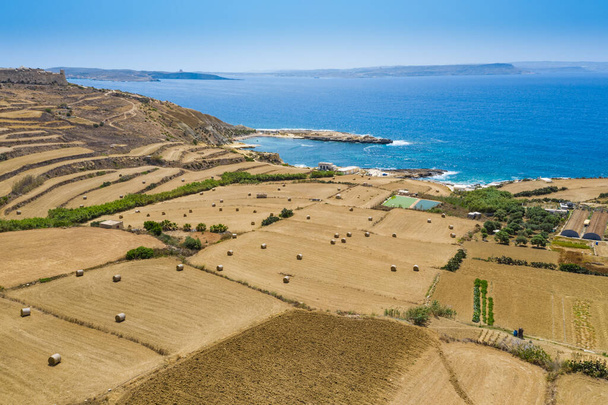 Rolnictwo pola siana krajobraz stogi. Stos siana toczy się na polu rolniczym. Morze Śródziemne. Gozo, wyspa Maltańska - Zdjęcie, obraz