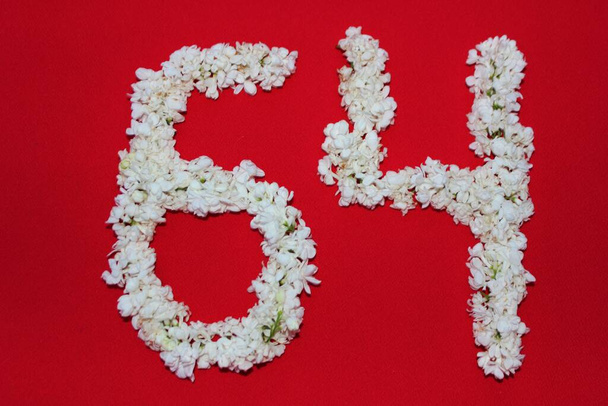 Die Zahl 64 steht in weißen lila Blüten auf rotem Grund geschrieben. Die Zahl 64 ist in frischen Blumen geschrieben, isoliert auf Rot. Arabische Ziffer mit Blumen gesäumt. - Foto, Bild