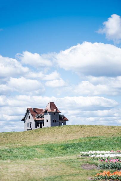 house on hill near colorful tulips field and blue sky with clouds - Photo, Image