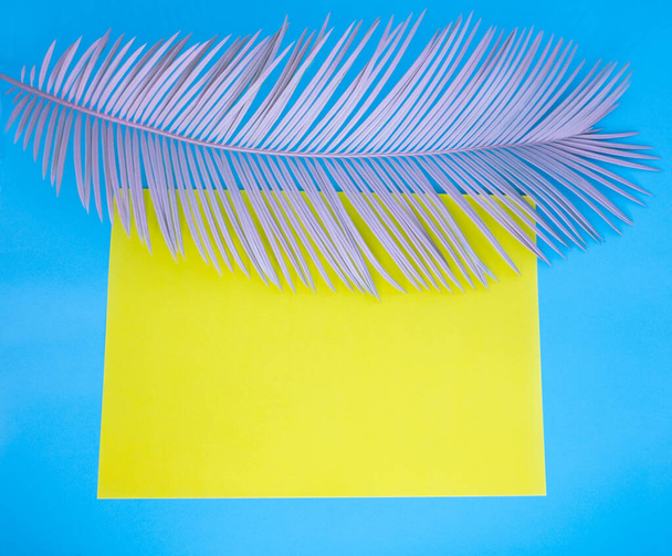 Yellow paper with pink tropical leaf. Blue background.  - Zdjęcie, obraz