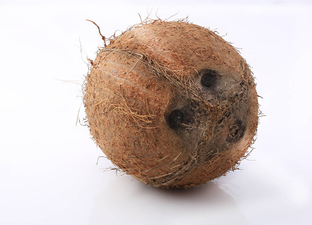 coconut shot on a white background - Photo, Image
