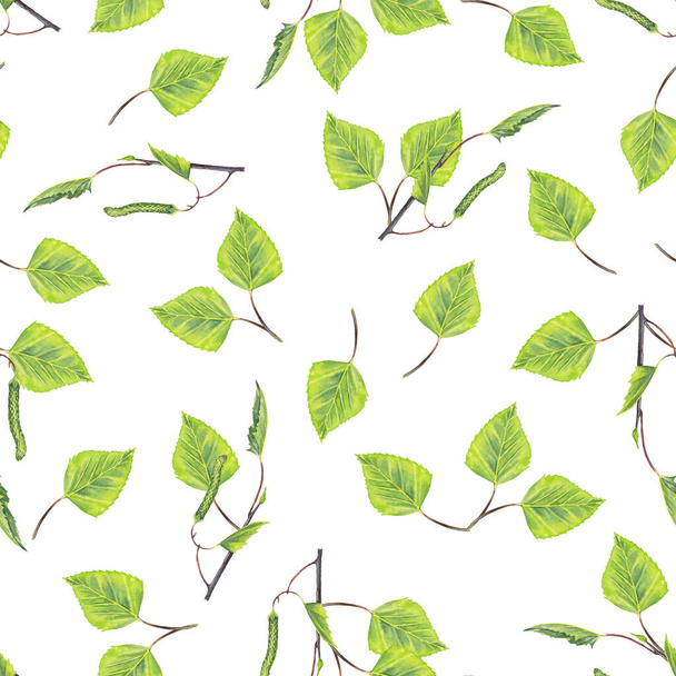 Seamless pattern of realistic young green birch. Colorful branches, leaves, buds and catkins. Watercolor hand painted isolated elements on white background. - Zdjęcie, obraz