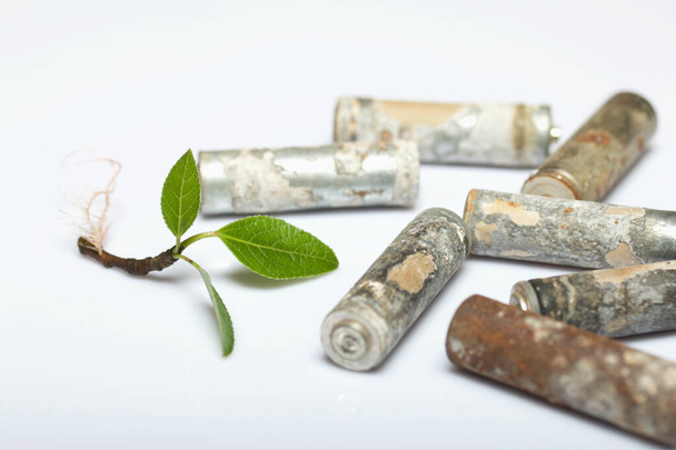 Sprout with green leaves and sprouted roots. Around him, spent batteries are coated with corrosion. On white background. World Environment Day. - Foto, imagen