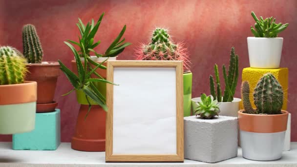 Hand legt Kaktus auf weißes Regal mit Raumdekoration, saftigen Pflanzen und Bilderrahmen-Attrappe gegen alte Backsteinfarbe Wand. - Filmmaterial, Video