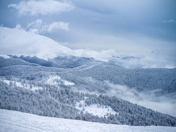 Schöne Berglandschaft mit Wolken und Bäumen im Winter - Foto, Bild