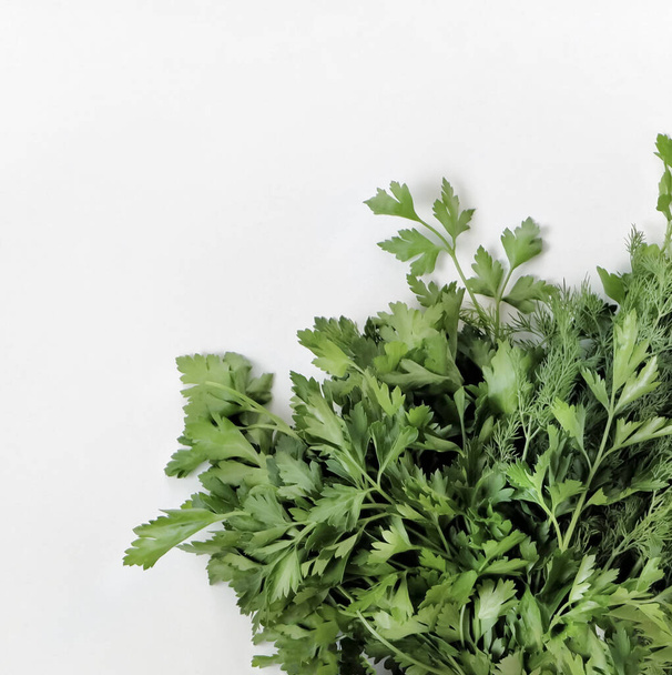 A large bunch of fresh organic green parsley, dill on a white background. Garden greens, spicy herbs, ingredients for cooking. Square. Close-up, top view with copy space. - Foto, afbeelding