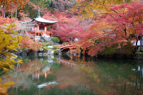 The fall season of Japan - Photo, Image
