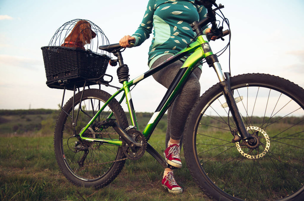 Nuori nainen hauskaa lähellä maaseutua puisto, ratsastus pyörä, matkustaa kumppani spanieli koira
 - Valokuva, kuva