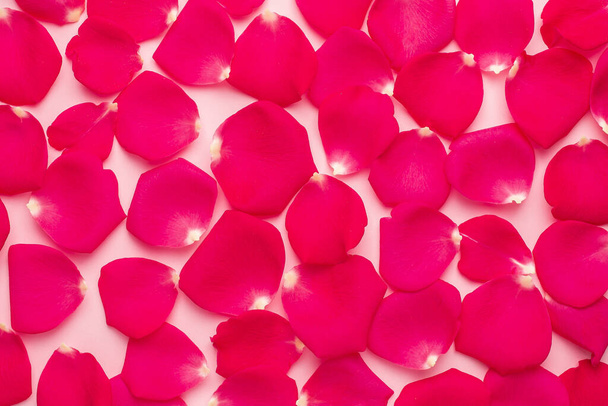 Dark rose petal on pink background close up top view - Foto, imagen